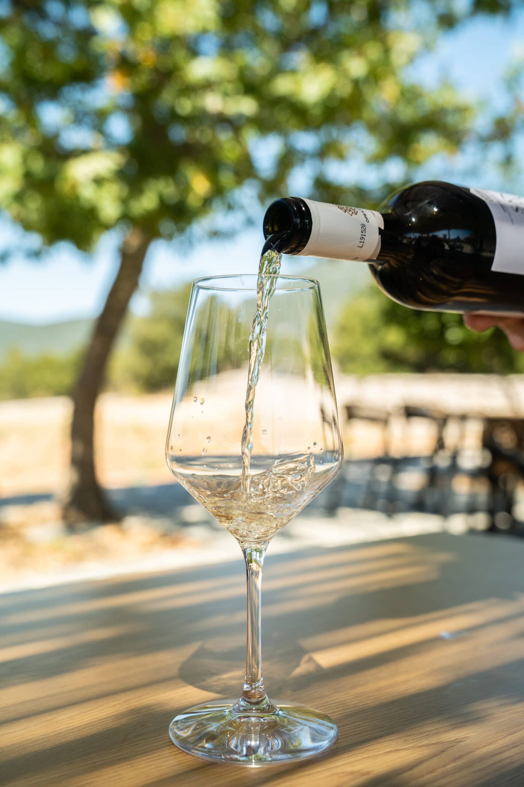 Robola Wine Tasting Experience