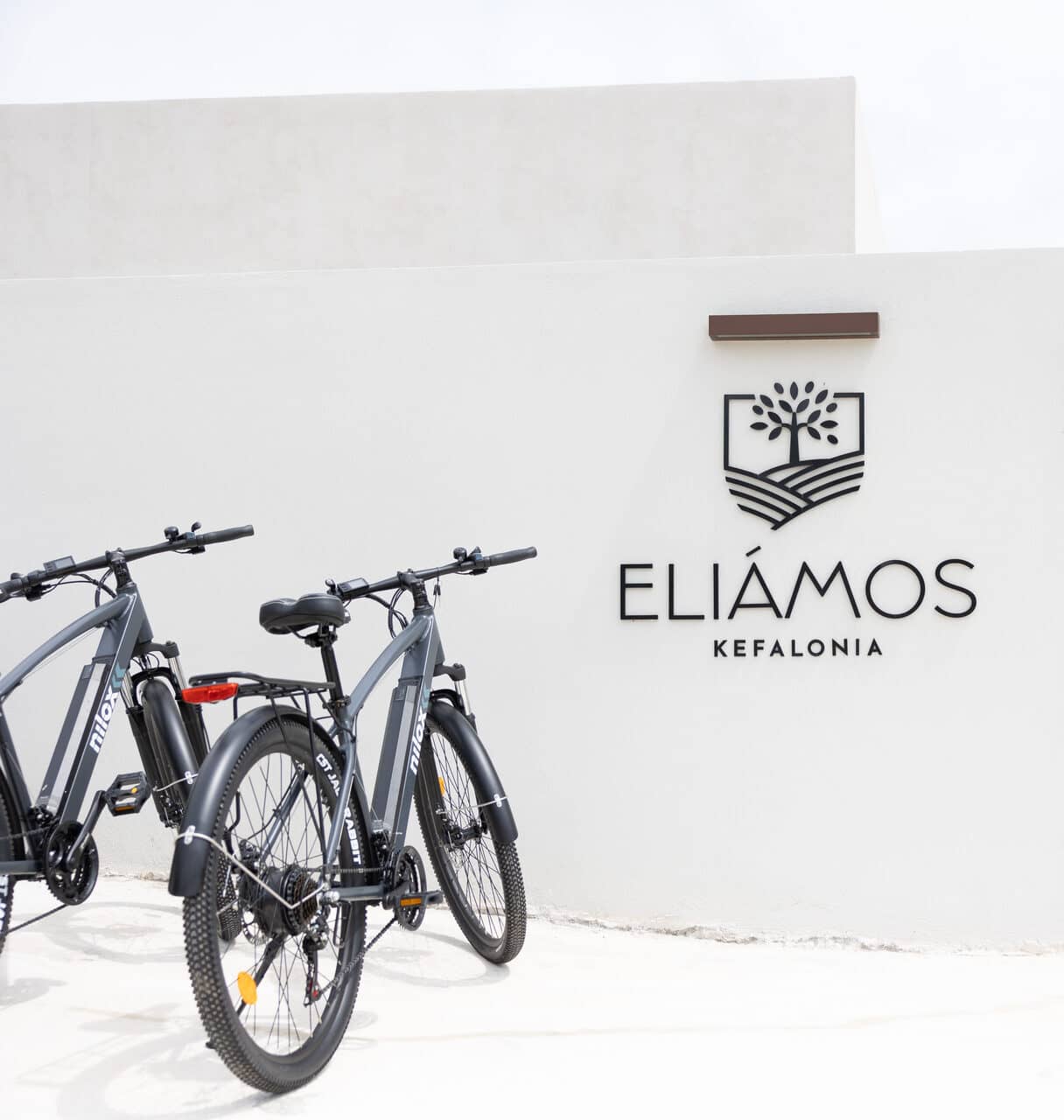 Electric Bike Exploration